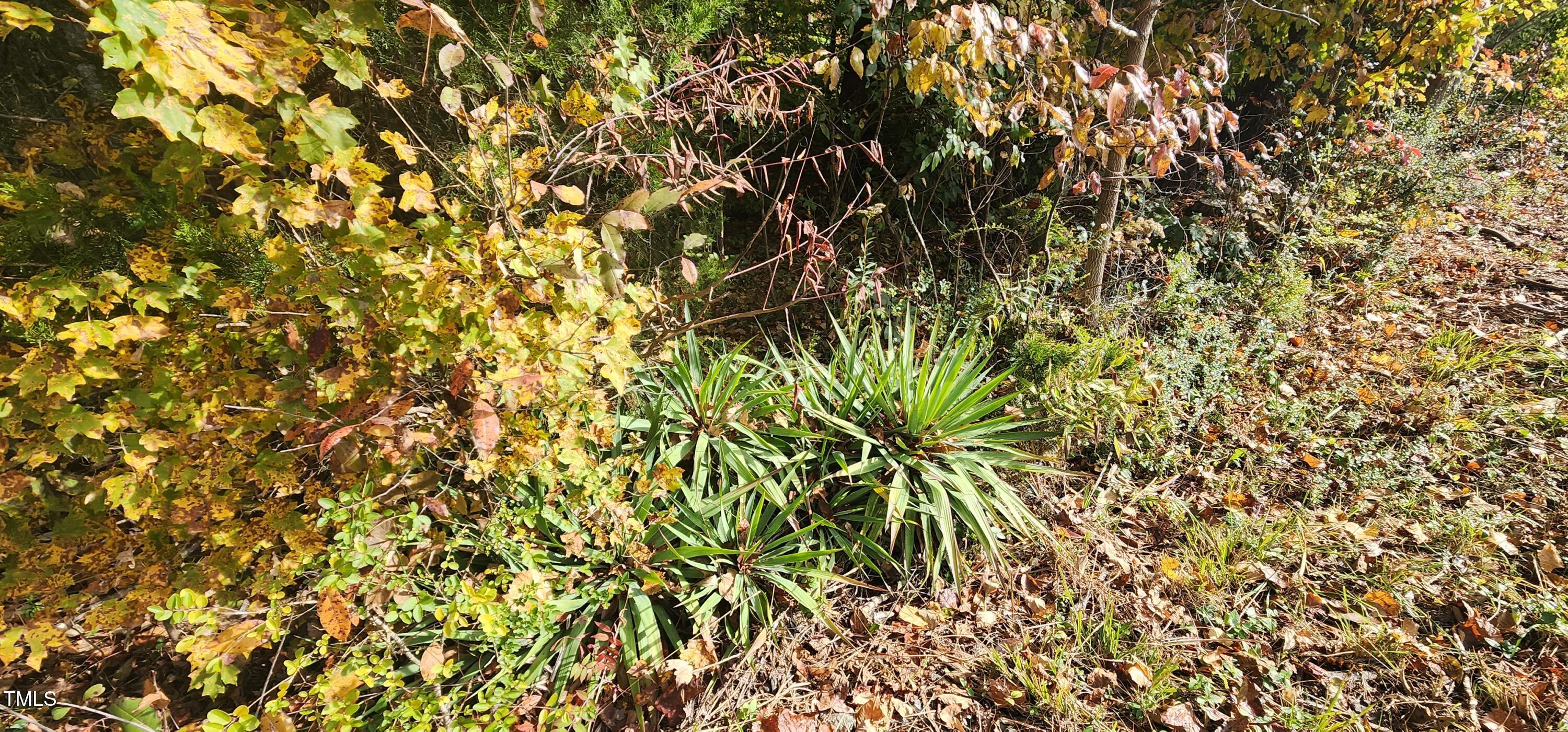 Lot 1 High Rock Road Efland, NC 27243 - Photo 2 of 15 20241028_112223