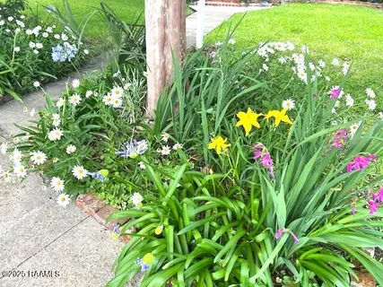 $345,000 | 122 Lee Street, New Iberia, LA 70560