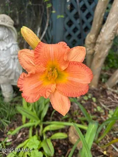 $345,000 | 122 Lee Street, New Iberia, LA 70560