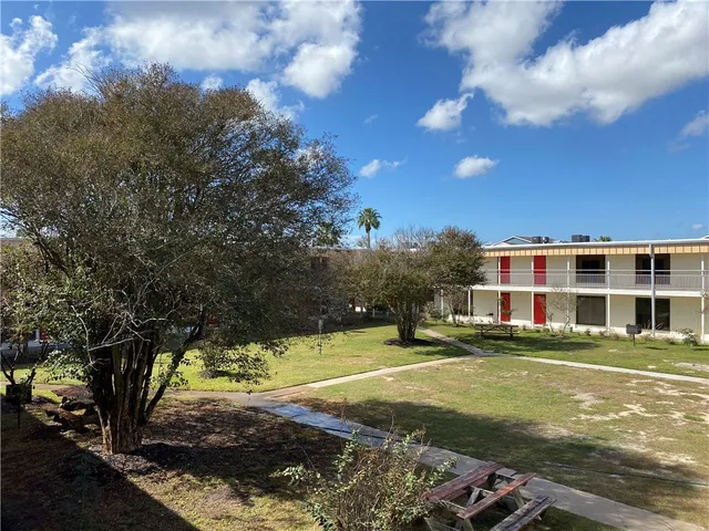 a view of a big yard with palm trees