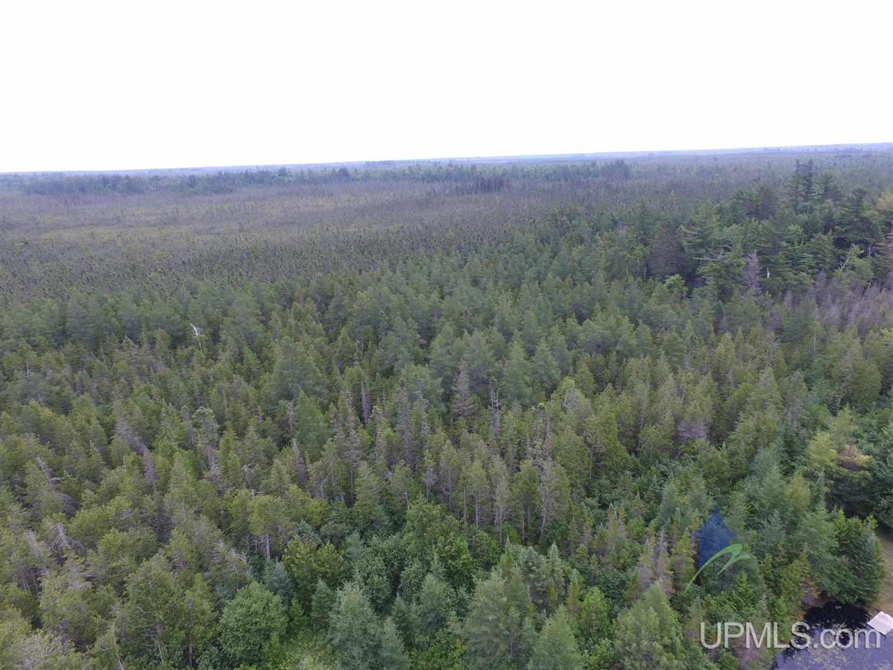 2324 Carlson Road Manistique, MI 49854 - Photo 9 of 35 Gallery Image 9