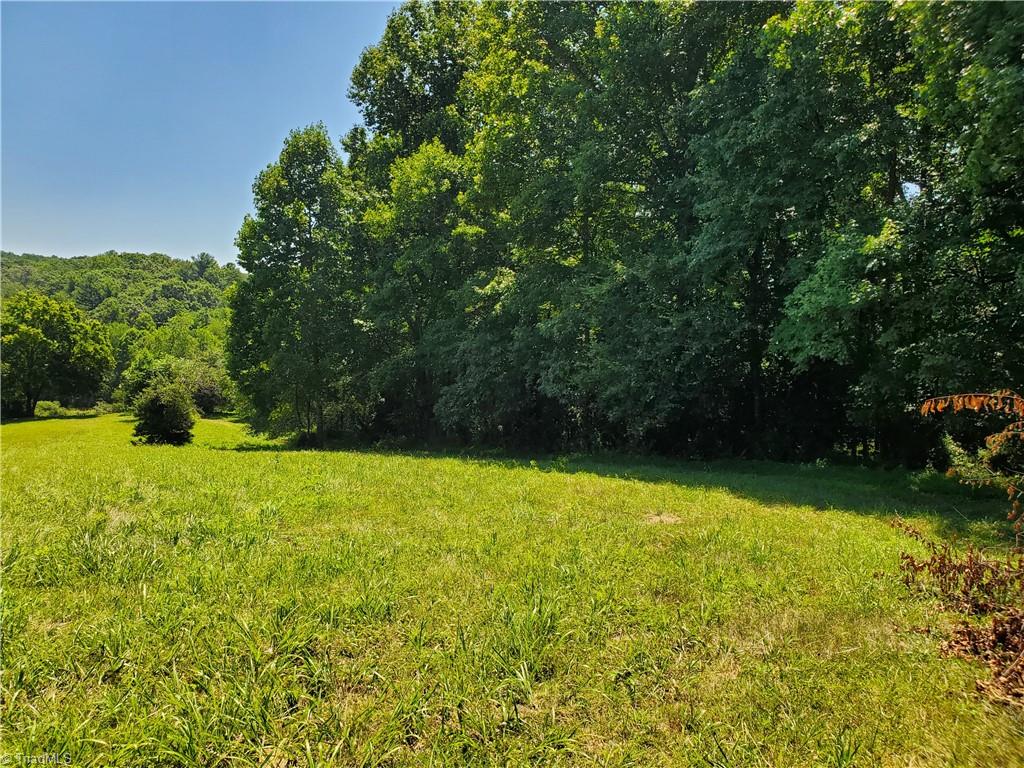 425 Locust Ridge Road State Road, NC 28676 - Photo 41 of 43