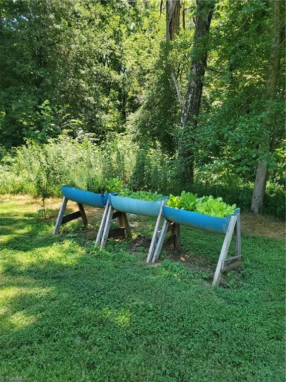 425 Locust Ridge Road State Road, NC 28676 - Photo 43 of 43