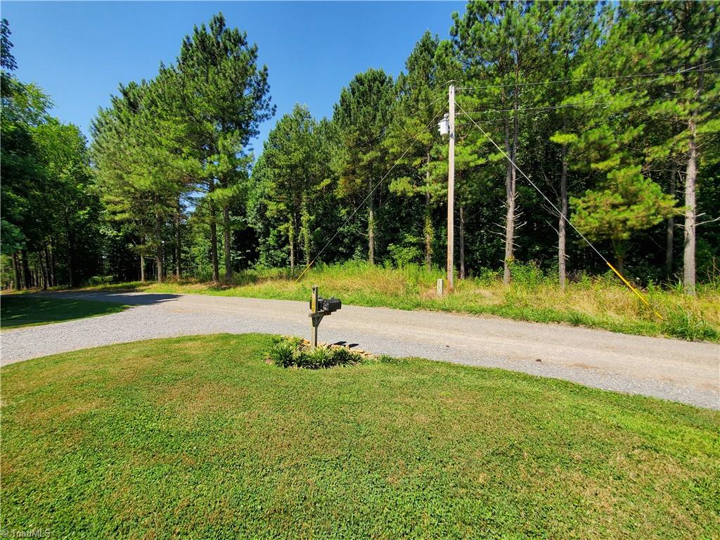 425 Locust Ridge Road State Road, NC 28676 - Photo 6 of 43