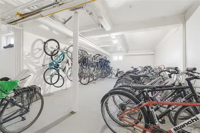 a view of a garden with flower plants