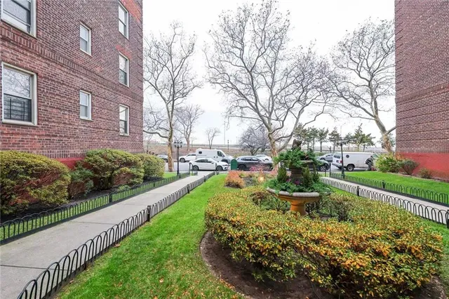 a view of a park with large trees