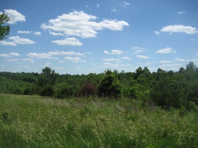 1234 A Rutherford School Road Lawrenceburg, KY 40342 - Photo 4 of 15 IMG_0433 (Small)