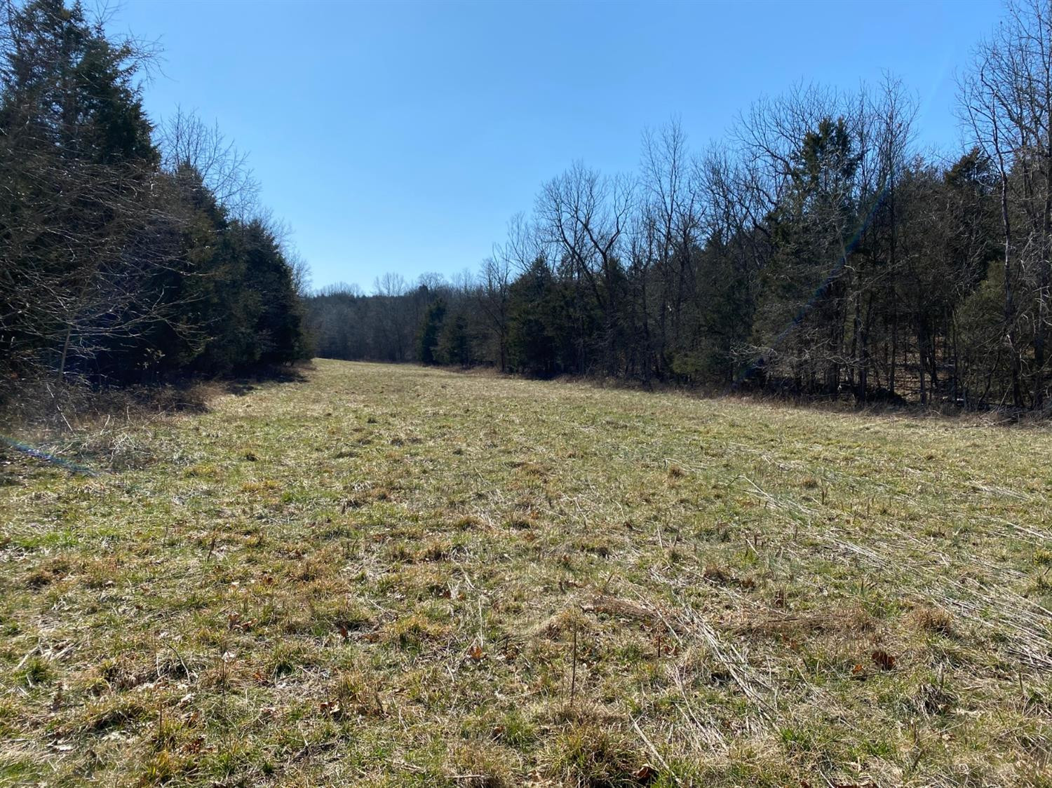 0 Denny Road Corinth, KY 41010 - Photo 3 of 18 Photo 3