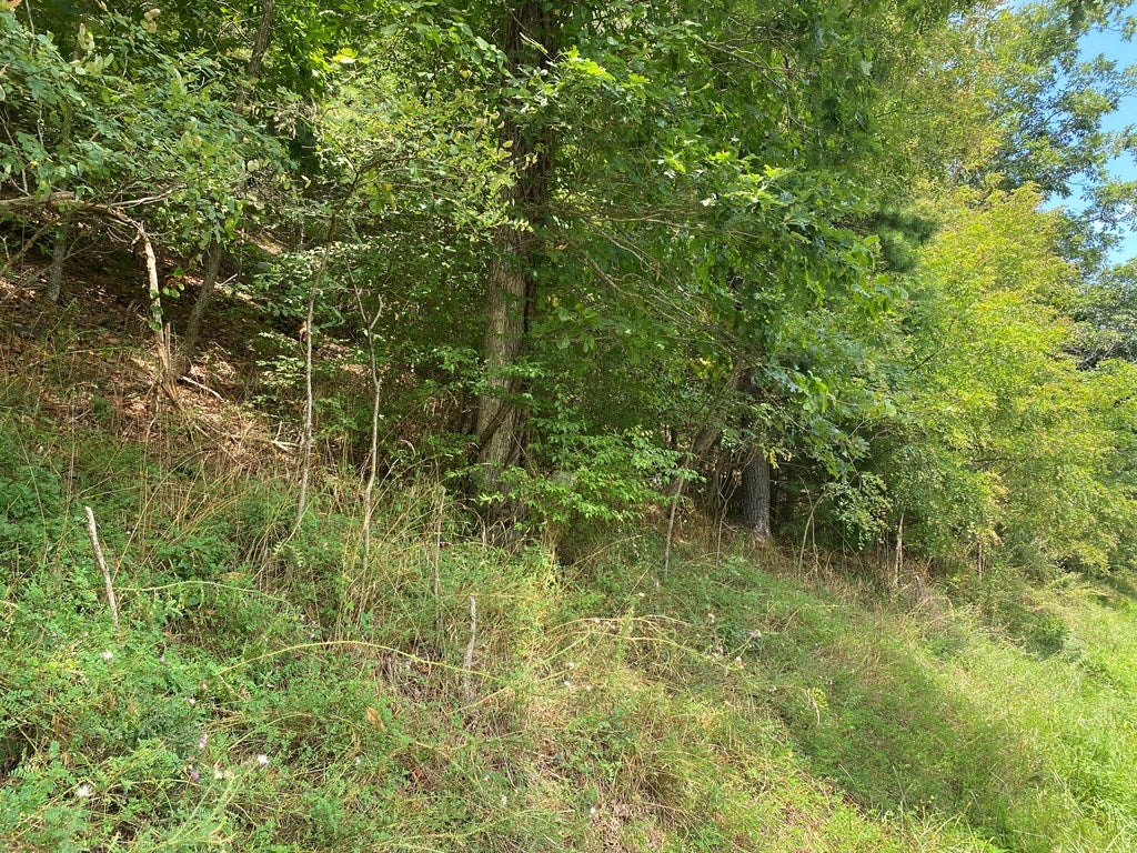 Tbd Spur Branch Road, Unit 9A Dublin, VA 24084 - Photo 5 of 18 Gallery Image 5