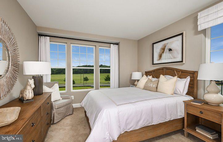 7107 Delegate Place Frederick, MD 21703 - Photo 10 of 19 Model Home Pictures- Bedroom #3