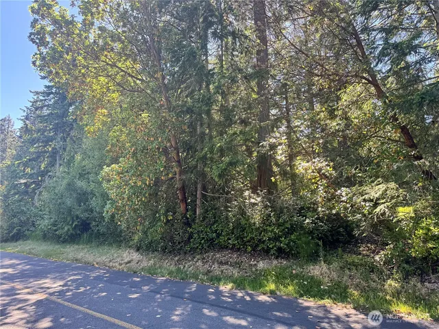 a view of outdoor space and yard