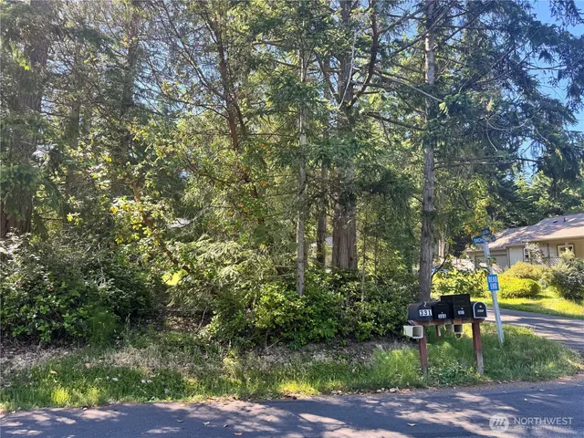 a view of outdoor space and yard