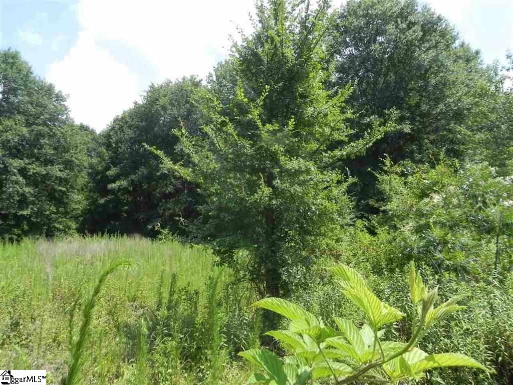1545 Price House Road, Unit LOT 19 Roebuck, SC 29376 - Photo 4 of 13 Gallery Image 4