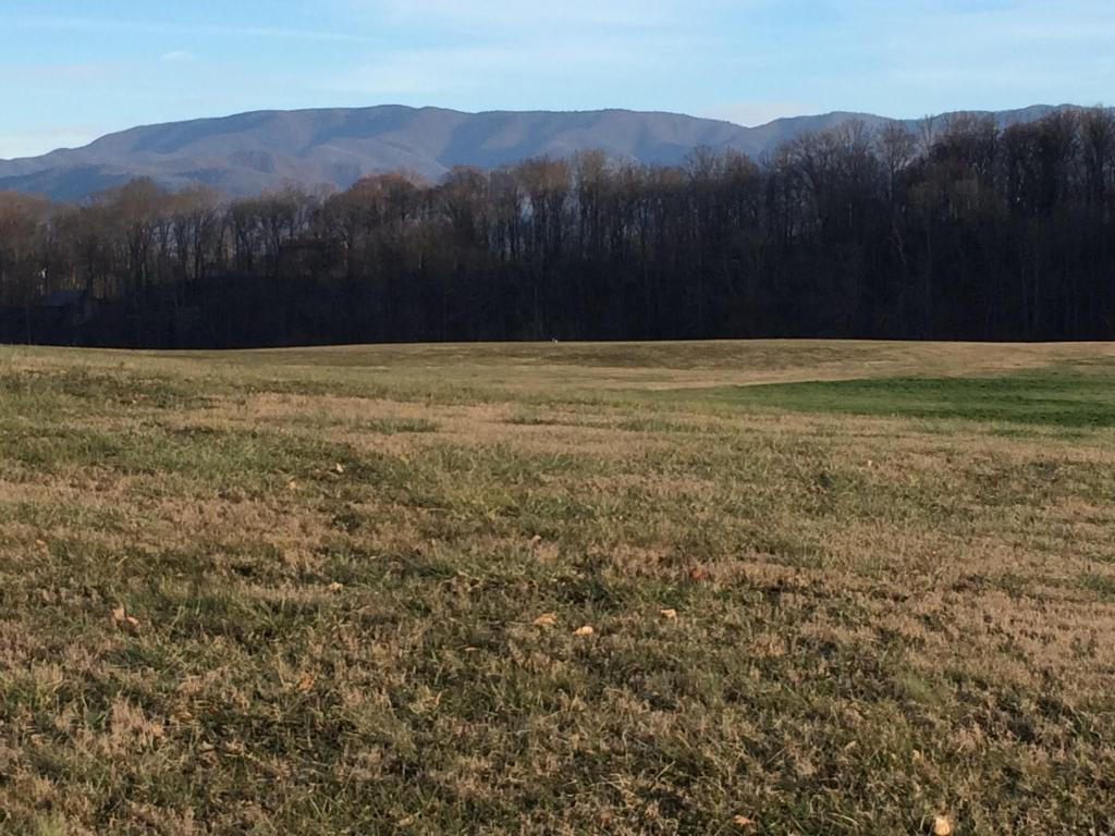 0 Holly Creek Road, Unit 21 Greeneville, TN 37745 - Photo 2 of 2 Photo 2