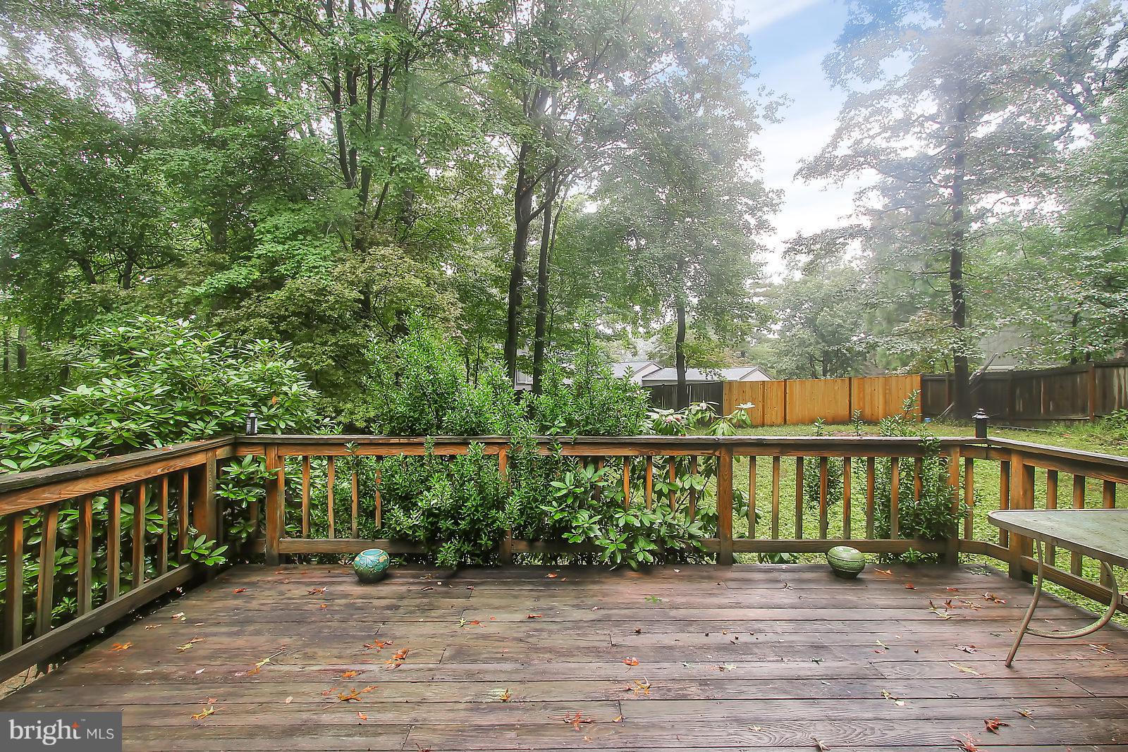 14934 Wellwood Road Silver Spring, MD 20905 - Photo 20 of 26 Deck