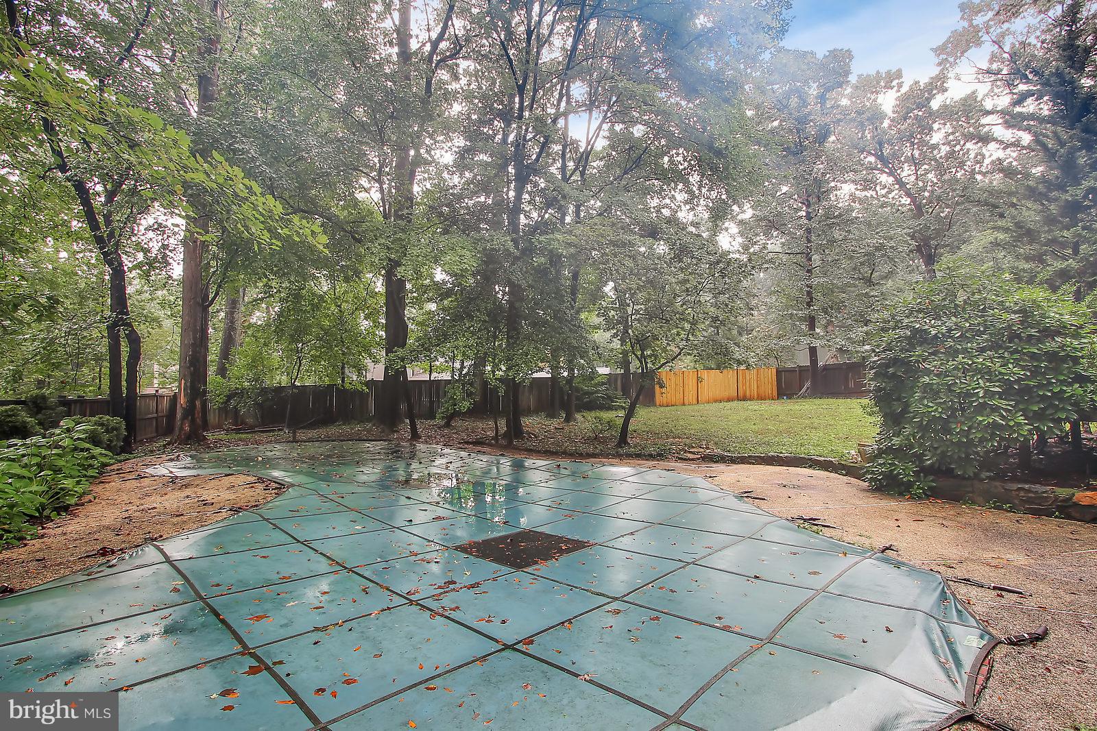 14934 Wellwood Road Silver Spring, MD 20905 - Photo 21 of 26 Inground Pool / As-Is Condition