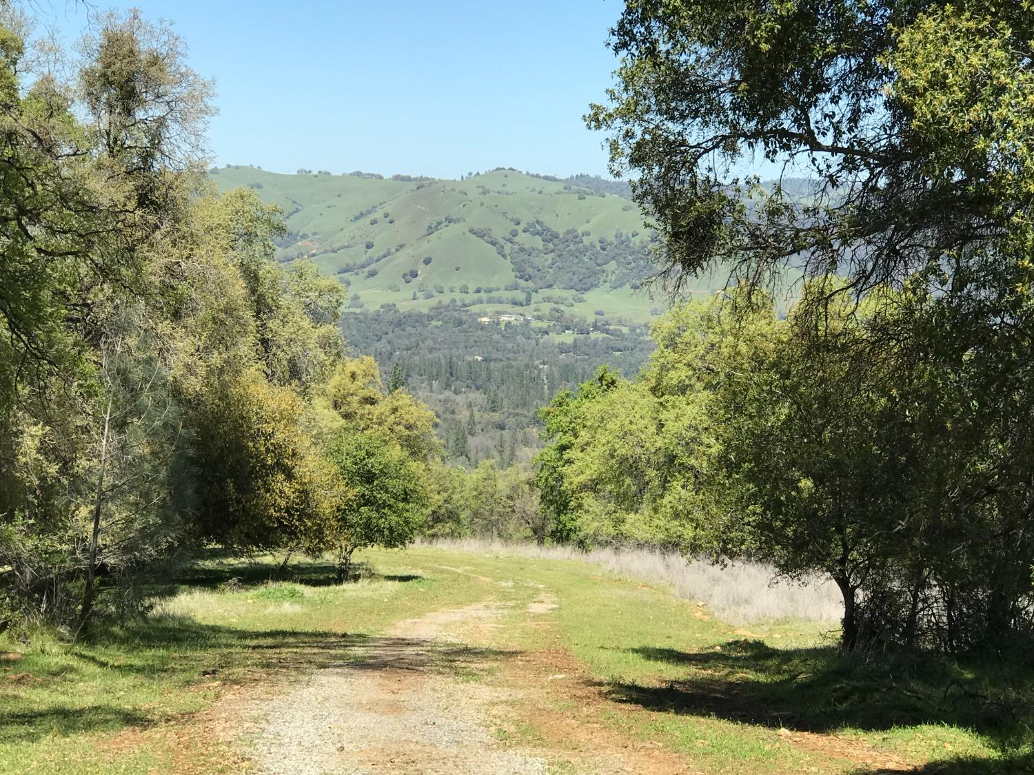 5080 Thompson Hill Road Placerville, CA 95667 - Photo 15 of 37