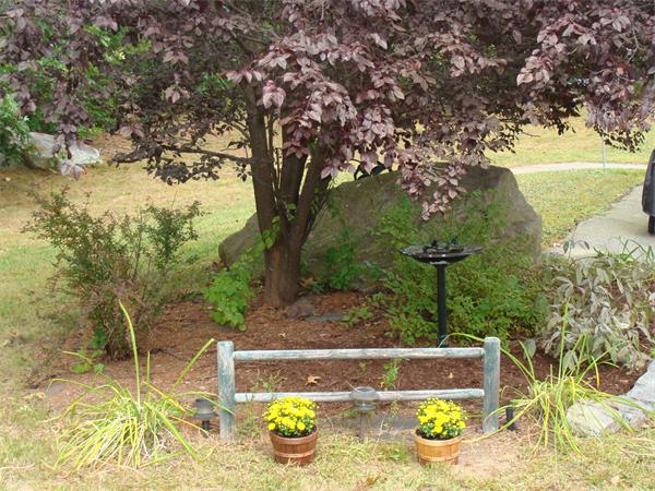 33 Stonehill Road Chelmsford, MA 01863 - Photo 30 of 30