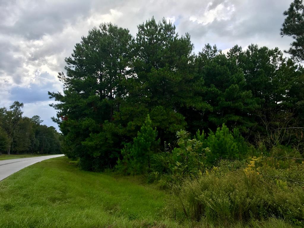 0 Morven Road Hahira, GA 31632 - Photo 1 of 1 Gallery Image 1
