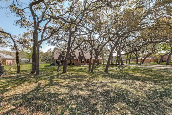 a view of a trees with a yard
