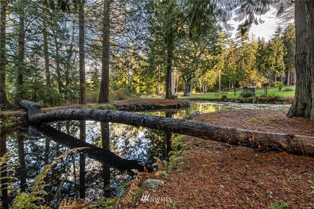 679 Limestone Point Road Friday Harbor, WA 98250 - Photo 11 of 33 Gallery Image 11