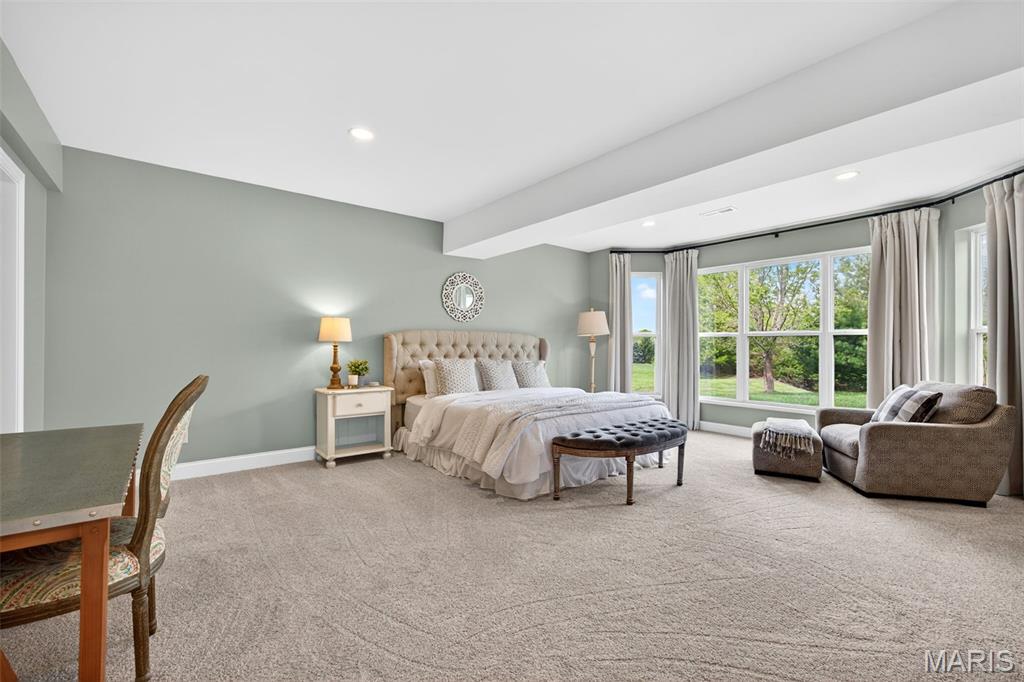 234 Cornwall Weldon Spring, MO 63304 - Photo 47 of 64