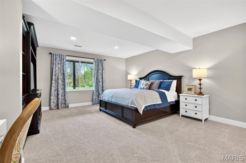 234 Cornwall Weldon Spring, MO 63304 - Photo 50 of 64