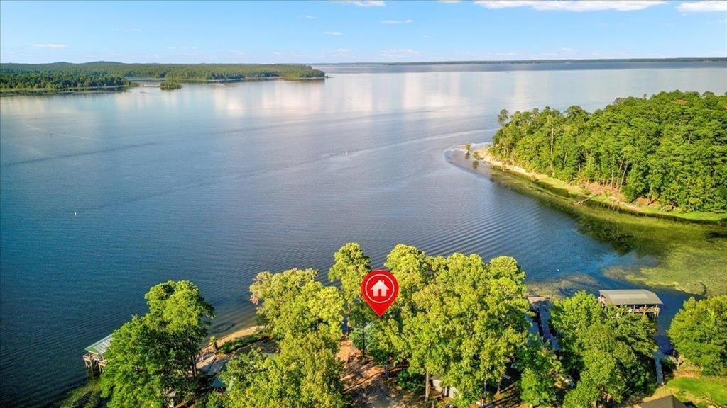 500 Two Coves Hemphill, TX 75948 - Photo 22 of 36 a close up of a table with a lake view