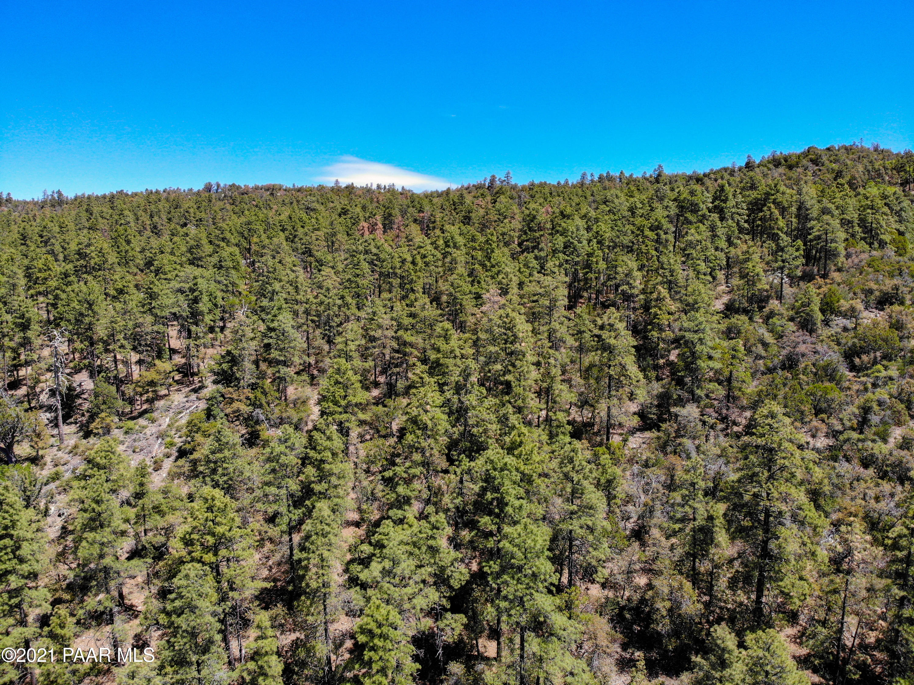 5000 West Copper Basin Road Prescott, AZ 86303 - Photo 3 of 15
