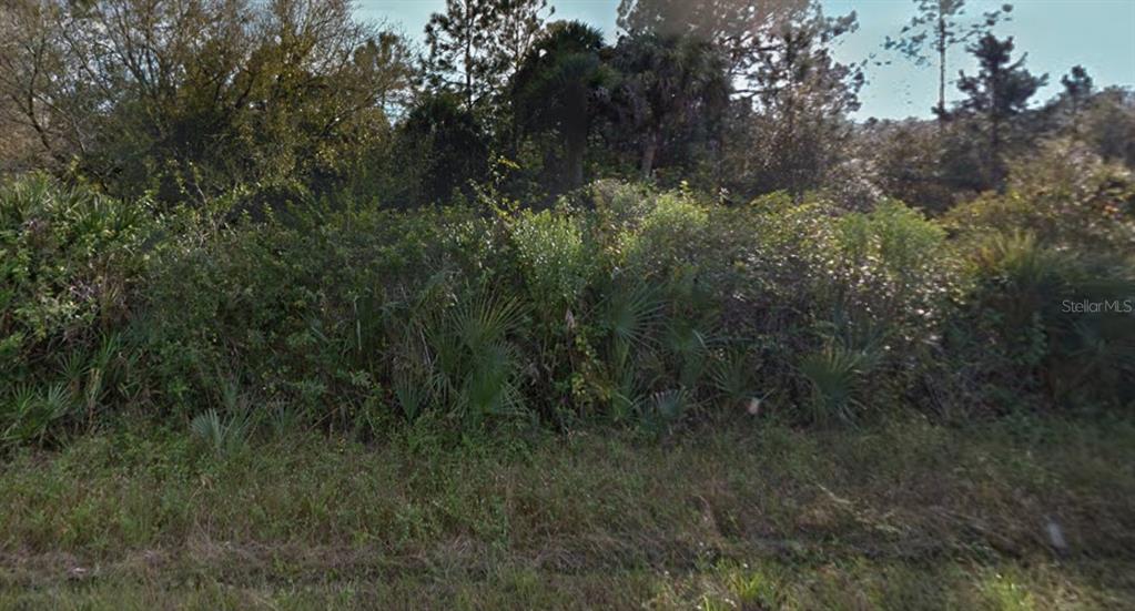 1240 Ramee Street East Lehigh Acres, FL 33974 - Photo 1 of 1 a view of a forest with lots of trees