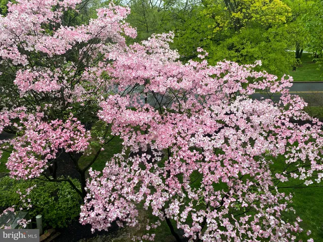 $2,250 | 1705 Mountainview Drive, Wayne, PA 19087