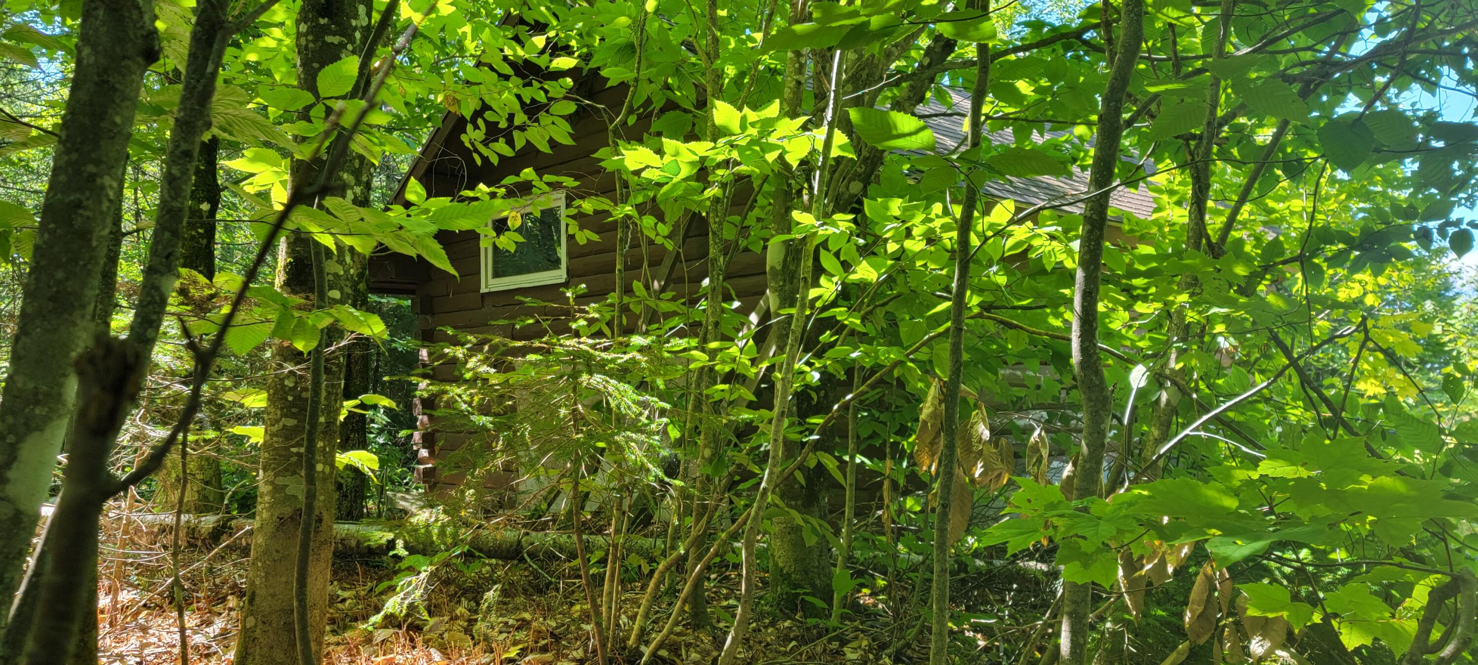 350 Ackley Pond Rd Mount Mount Chase, ME 04765 - Photo 8 of 19 20220827_111521