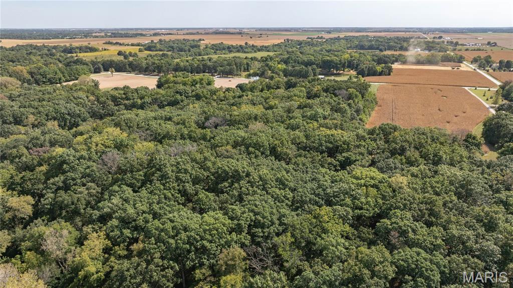 1468 F S Road Medora, IL 62063 - Photo 9 of 61 Gallery Image 9