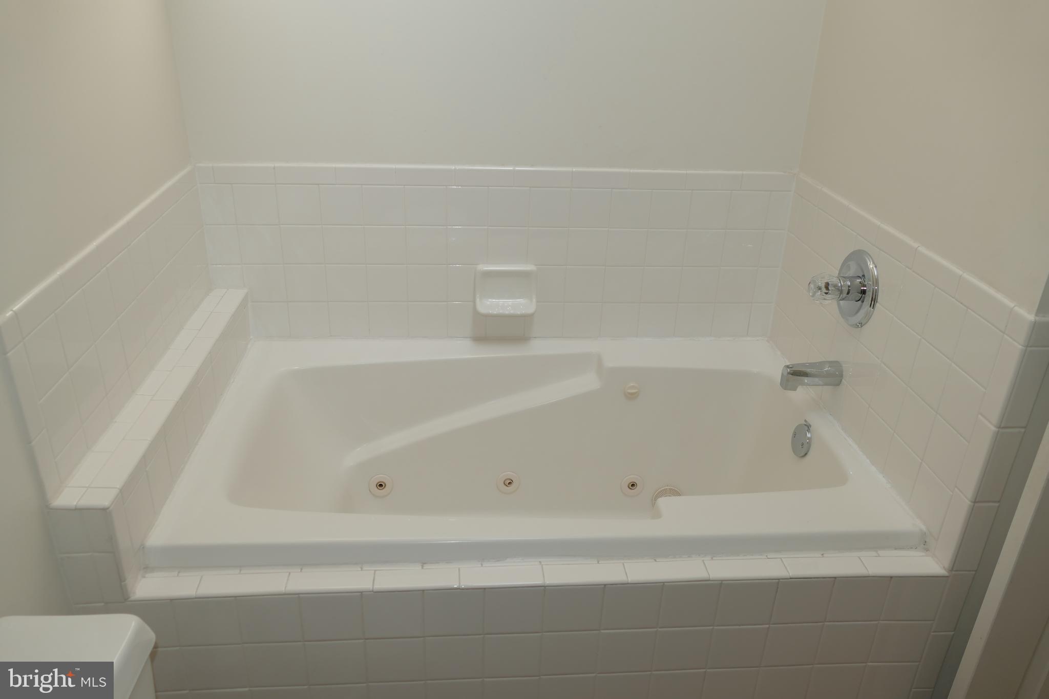 228 Sycamore Ridge Road Laurel, MD 20724 - Photo 23 of 34 Jacuzzi in master bathroom