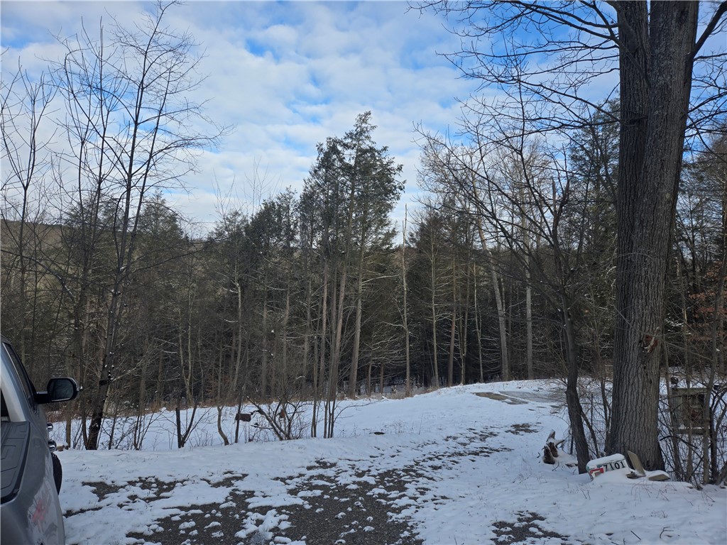 7101 Boot Jack Road Bath, NY 14810 - Photo 2 of 4