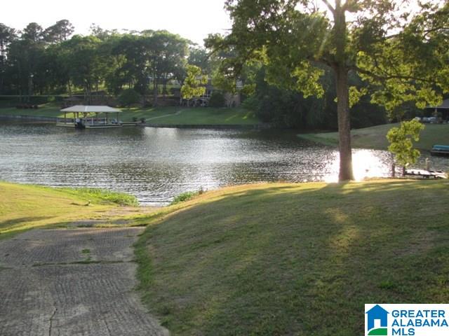 294 Smith Street Riverside, AL 35135 - Photo 21 of 28