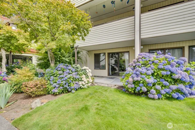 a view of a potted plants sitting in front of a house