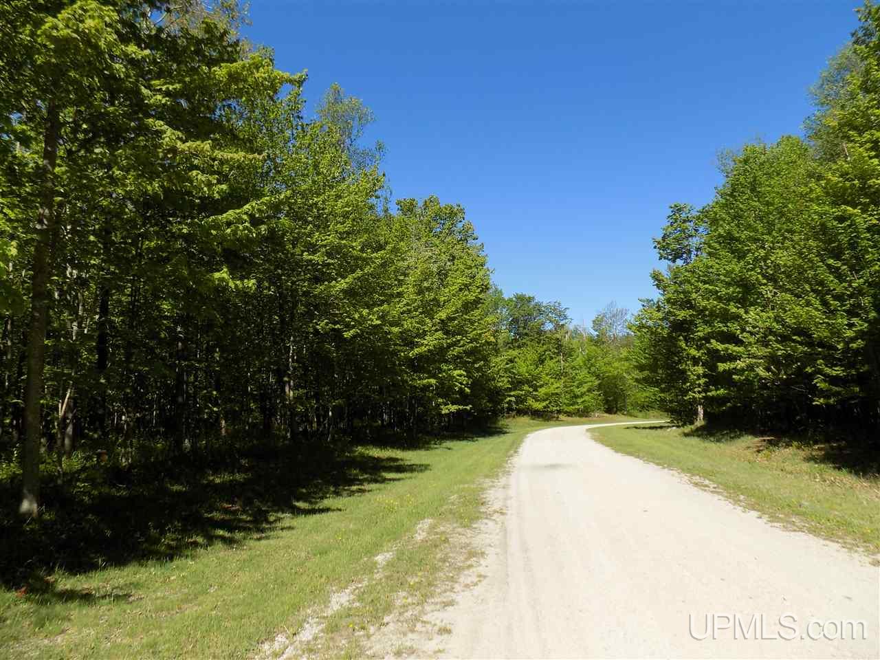 Tbd Northshore Bluffs Road, Unit 4 Manistique, MI 49854 - Photo 19 of 21