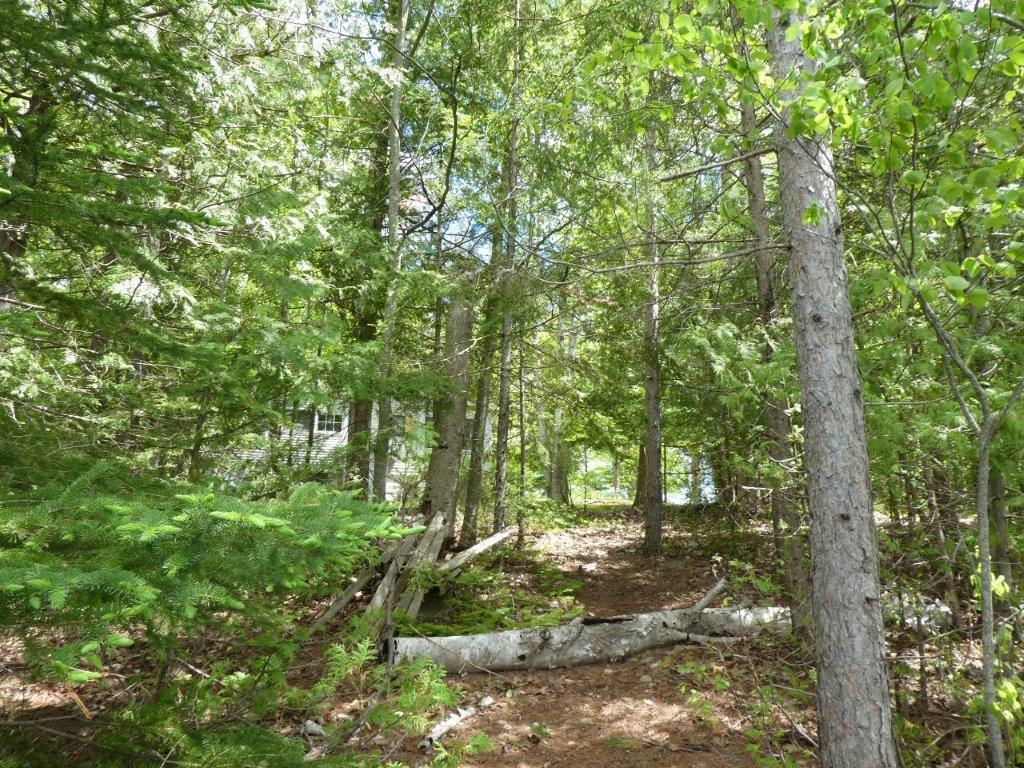 7511 Weiss Road Alpena, MI 49707 - Photo 21 of 25 Gallery Image 21