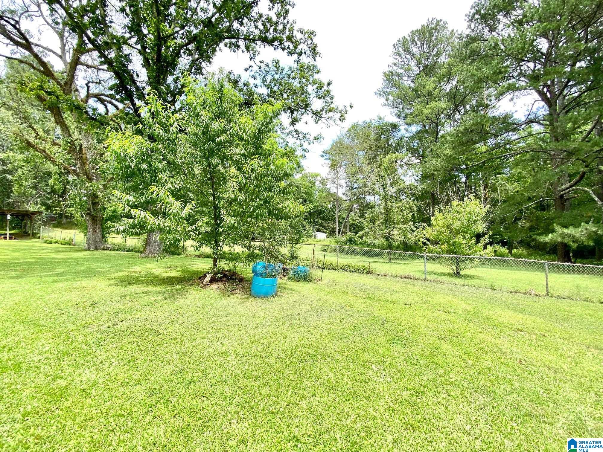672 Websters Chapel Road Wellington, AL 36279 - Photo 14 of 33