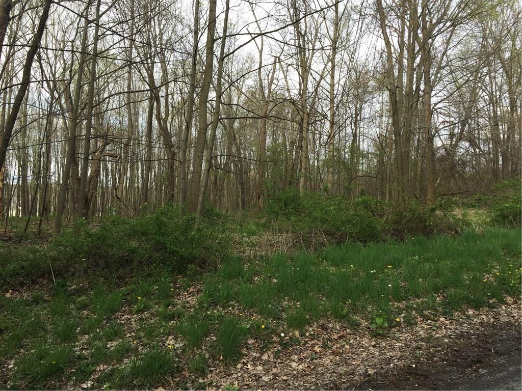 T424 Sunbury Road Slippery Rock, PA 16057 - Photo 1 of 3 Gallery Image 1