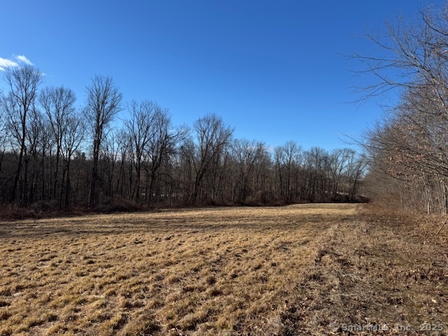 202 Brayman Hollow Road Pomfret, CT 06259 - Photo 1 of 1 a view of space with wooden fence