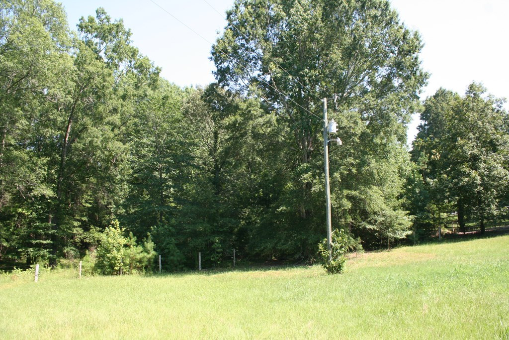 0 Colvin - Kennedy Road Lincolnton, GA 30817 - Photo 2 of 7 Gallery Image 2