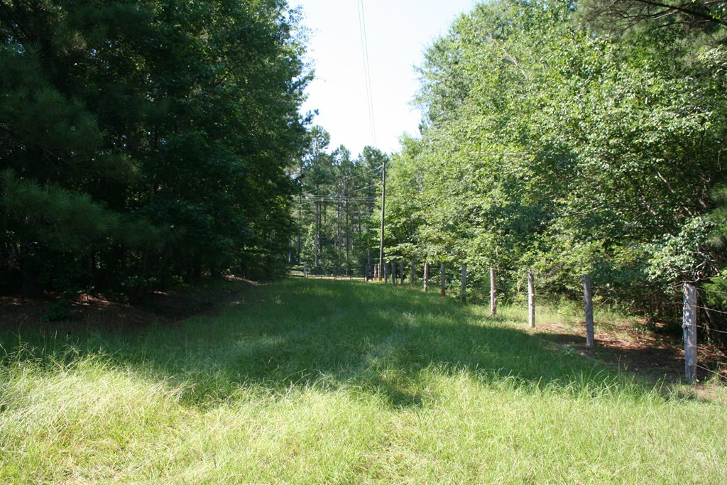 0 Colvin - Kennedy Road Lincolnton, GA 30817 - Photo 3 of 7 Gallery Image 3