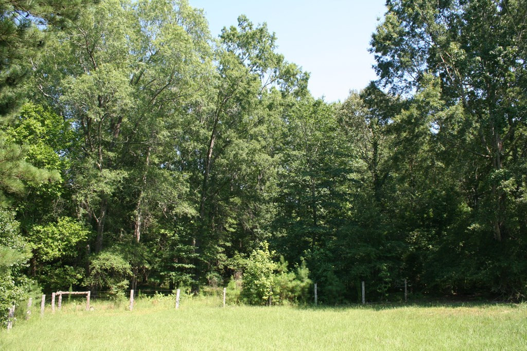 0 Colvin - Kennedy Road Lincolnton, GA 30817 - Photo 4 of 7 Gallery Image 4