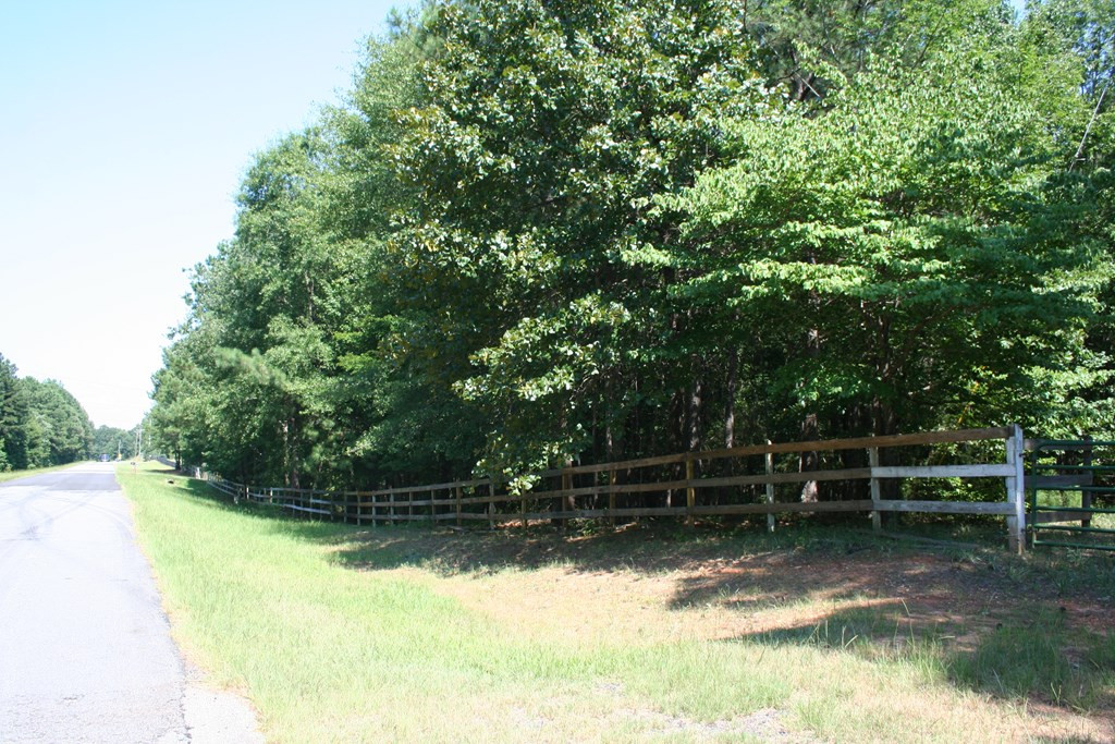 0 Colvin - Kennedy Road Lincolnton, GA 30817 - Photo 6 of 7 Gallery Image 6