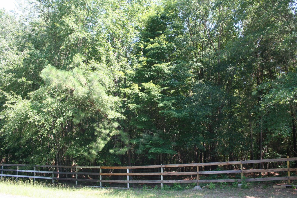 0 Colvin - Kennedy Road Lincolnton, GA 30817 - Photo 7 of 7 Gallery Image 7