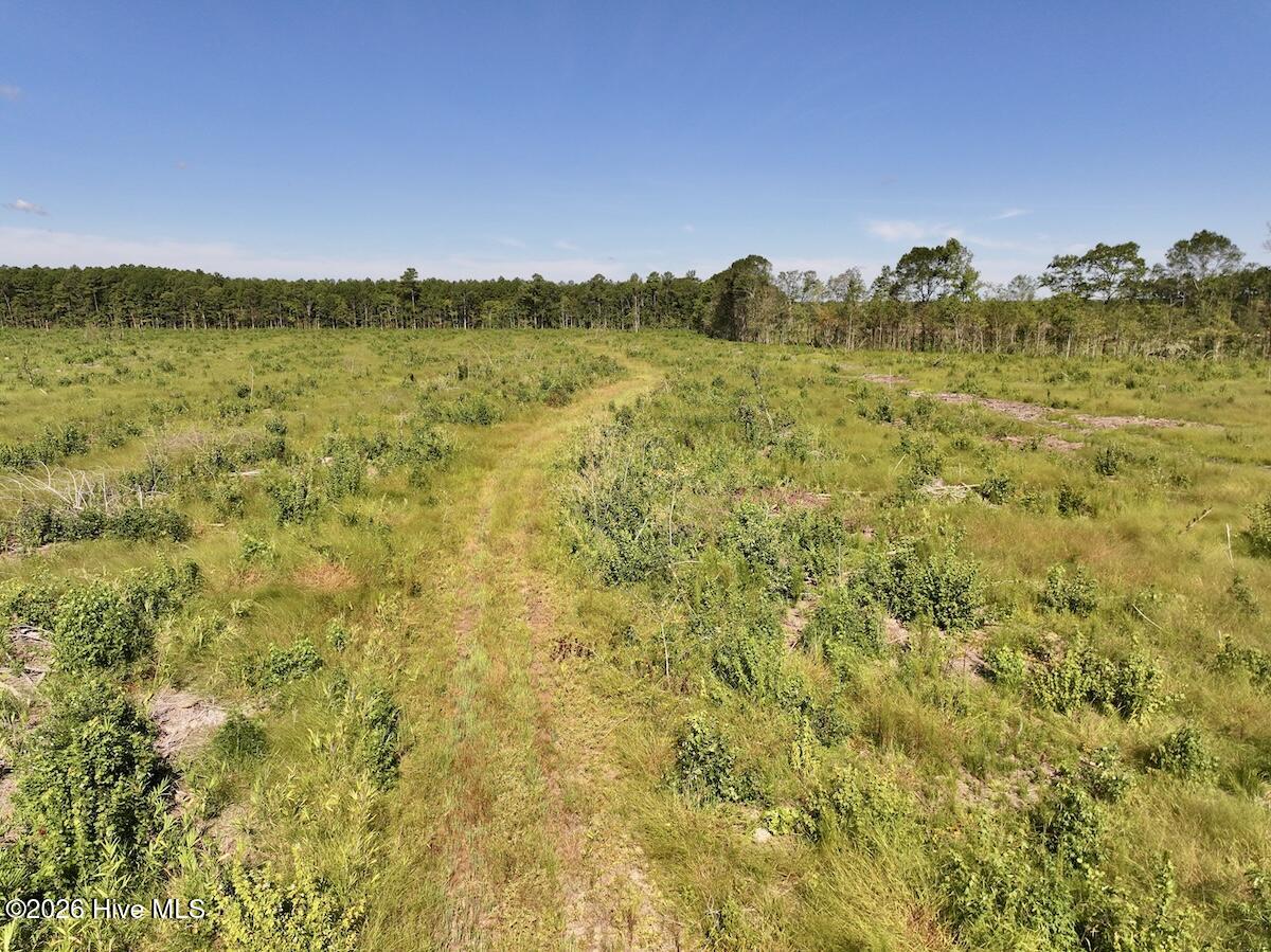 0 Rooks Road Gates, NC 27937 - Photo 19 of 29 Gallery Image 19