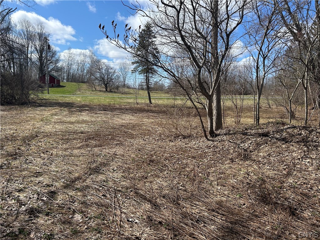480 Baldwin Road Fulton, NY 13069 - Photo 2 of 9