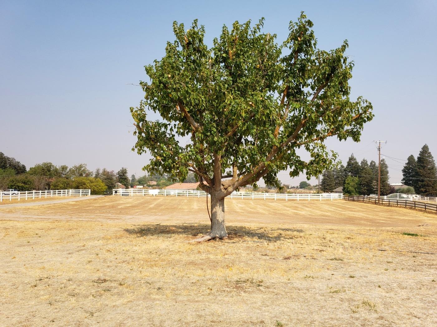 16600 La Canada Road Madera, CA 93636 - Photo 43 of 45 Gallery Image 43